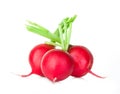 Radish isolated on white Royalty Free Stock Photo