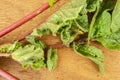 Radish Leaves and Stalks With Insect Pests And Stink Bug