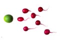 Radish and lime as ovule on a white background