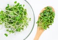 Radish microgreens in a glass dish. Wooden spoon with young sprouts. Healthy eating. View from above Royalty Free Stock Photo