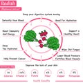 Radish nutrition facts and health benefits infographic.