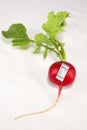 Radish with Nutrition Label Royalty Free Stock Photo