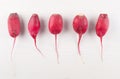 Radish over white background.Imperfect vegetables.