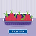 Radish on the plastic food packaging tray wrapped with polyethylene. Vector illustration Royalty Free Stock Photo