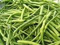 Radish pods. Fresh seed pods. Raphanus seeds. Radish seeds. Moongre Vegetable. Moongre seeds.