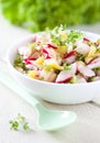 Radish salad Royalty Free Stock Photo