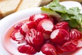 Radish salad Royalty Free Stock Photo