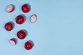 Radish with shadow on blue backdrop as border, top view. Modern color vegetable background.