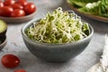 Radish sprouts in a bowl, with tomatos and other vegetables Royalty Free Stock Photo