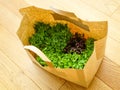 Radish, sunflower, mustard and beans pea sprouts in a paper bag from recycled materials