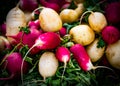 Radish turnips on a market