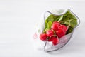 Radish vegetable in reusable mesh nylon bag, plastic free zero waste concept Royalty Free Stock Photo