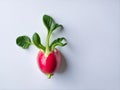 Radish on white background. Ai Generated Royalty Free Stock Photo