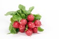 Radishes Royalty Free Stock Photo