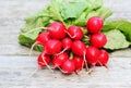 Radishes Royalty Free Stock Photo