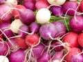 Radishes Royalty Free Stock Photo