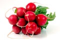 Radishes