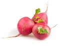 Radishes big group