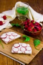 Radishes with Bread and Cream Cheese Royalty Free Stock Photo