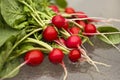 Radishes on glass table