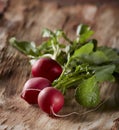 Radishes group