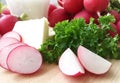 Radishes. Ingredients for radish spread or radish soup - radishes, butter, cream and green parsley. Royalty Free Stock Photo