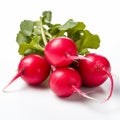 Vibrant Radishes On White Background - Stunning Hatecore Art