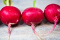 Radishes lie on each other on wooden ground Royalty Free Stock Photo