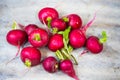 Radishes lie on each other on wooden ground Royalty Free Stock Photo