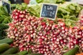Radishes pile at the market Royalty Free Stock Photo