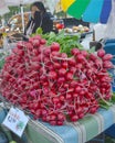 Radishes for Sale at Farmers Market