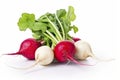 radishs. Fresh vegetables isolated on white background. Healthy food concept