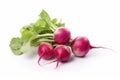 radishs. Fresh vegetables isolated on white background. Healthy food concept