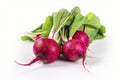 radishs. Fresh vegetables isolated on white background. Healthy food concept