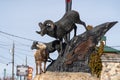 Radium Hot Springs, British Columbia, Canada - Janurary 20, 2019: A confused bighorn sheep baby ewe stands on top of a statue of Royalty Free Stock Photo