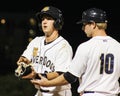 Radley Haddad, Charleston RiverDogs