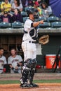 Radley Haddad, Charleston RiverDogs