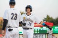 Radley Haddad, Charleston RiverDogs