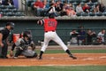 Radley Haddad, Charleston RiverDogs