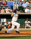 Radley Haddad, Charleston RiverDogs