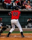 Radley Haddad, Charleston RiverDogs