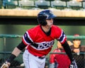 Radley Haddad, Charleston RiverDogs