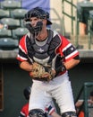 Radley Haddad, Charleston RiverDogs