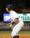 Radley Haddad, Charleston RiverDogs