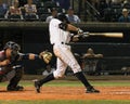 Radley Haddad, Charleston RiverDogs