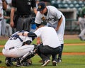 Radley Haddad, Charleston RiverDogs