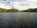 Radnor Lake