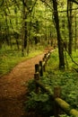 Radnor Lake in nashville Tennessee,Wooded fenced path in the forest