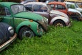 Old abandoned Volkswagen Beetles