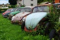 Old rusting Volkswagen Beetles